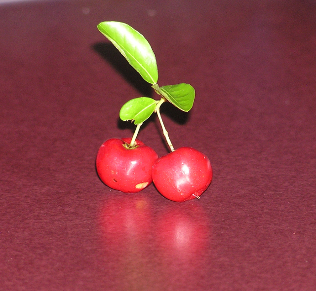 Barbados cherries