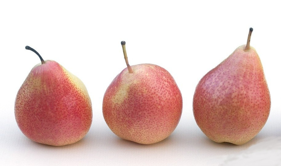 SUGAR pear