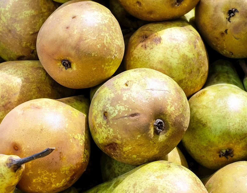 sand pears