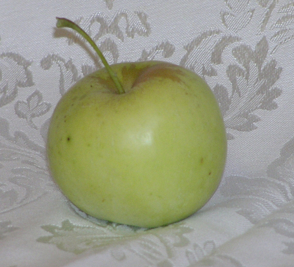 Elsa Sweet apple