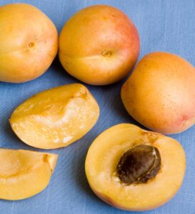 aprium fruits